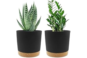 QCQHDU Lot de 2 Pots de Plantes 16.5cm, Pots pour Plantes d'intérieur avec Trous de Drainage et Base Amovible, Soucoupe décorative Moderne pour jardinières d'extérieur (Noir 16.5cm)