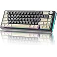 LQXQ SK65 V1 Tastiera Meccanica da gioco senza fili | FindTheDeal