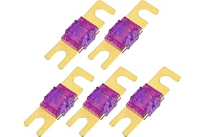 A ABSOPRO Mini ANL Sicherungen 150A / Audio CD Sicherung für Auto / 5 Stück Goldton Lila