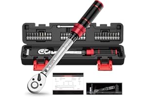 VANPO Chiave Dinamometrica Bici, 1-25NM, Precisione ±3%, 32 Pezzi 1/4” Chiavi Dinamometriche Set con Torx, Phillips, Taglio, Esagonale, Pozidriv per Bici da Strada e Montagna, Moto