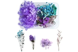 WJIAEER Fleurs séchées naturelles séchées en relief Fleurs préservées Résine Bijoux DIY Bougie Ongles Artisanat Scrapbooking Décoration florale（O）. (N)