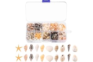BUT OSWETF 1 Box/ca. 220 StückMuscheln zum Basteln, Natürliche Muscheln Deko Muscheln mit Seestern, Meeresmuscheln Gemischte, Seesterne Decor für Vase Füller Strand Fisch Panzer Hochzeitsdeko DIY Handwerk