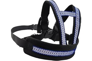 RURUNKLEE Cintura di sicurezza Moto per Bambini Regolabile Imbracatura Moto Bambino Cintura di Sicurezza Bambino Posteriore Bici Elettrica per Ragazzi Ragazze con Nastro Riflettente