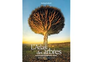 L'Atlas des arbres - Un incroyable tour du monde végétal - Lonely Planet