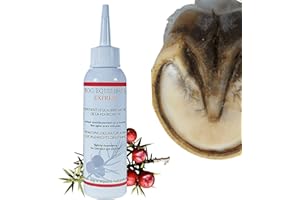 L.O. EQUILIBRIUM Frog Equilibrium Express - Cura naturale riparatore e protettivo delle forchette per cavalli - Ritorno rapido allo stato fisiologico (Frog Equilibrium Express - 125mL)