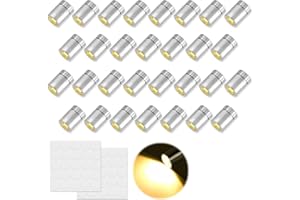 ZWQLZG 30 Stück Mini LED Lichter, LED Minilichter Lichter für Puppenhäuser, Mini Lichter zum Basteln, LED Licht für Papierlaterne, Minilichter zum Selbermachen (Warmweißes Licht)