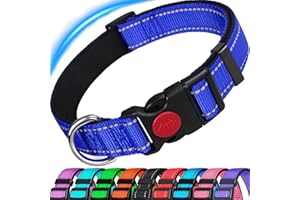 ATETEO Reflective Dog Collar with Safety Locking Buckle and Soft Neoprene Padded, Adjustable Durable Nylon Puppy Collar for Medium large Dogs,Blue,M: 13-19.7 inch