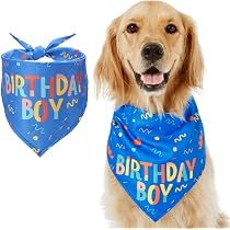 Hunde-Geburtstags-Bandana 'Birthday Girl' – 66 X 30,5 Cm, Baumwolle, Für Kleine/mittelgroße Hunde