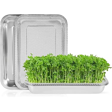 Tafellamp Kim Glas Zwart 11Cm Aanbieding bij GAMMA