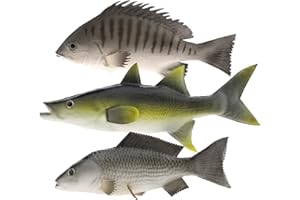 Gresorth 3 Confezione Falso Pesce Artificiale Carpa Righe Bass Ornamento Snapper Appeso Casa Giardino Decorazione