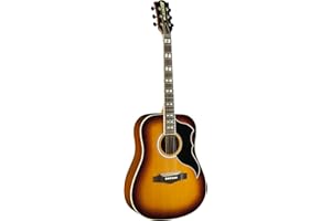 EKO Guitars 06217128 Ranger VI Dreadnought Honig Burst