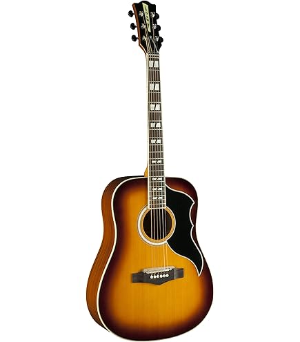 EKO GUITARS - Ranger VI VR Eq Natural Top Stained, Chitarra