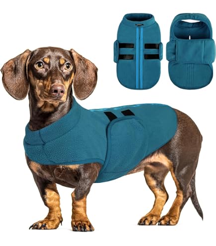 Stock+Stein WEAR Winterjacke Wintermaster Phantom, S + : Amazon.de: Haustier