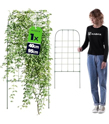 Tuin Boog Prieel Voor Buiten Metalen Boog Trellis Bruiloft Bogen Klimplant Boog Stand, Tuinfeest Decoratie (Color : Zwart, Size : 140x230cm/55x90in
