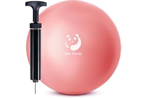 Slim Panda 9 Inch Pilates Ball With Pump,23-25CM Exercise Ball for Pilates, Balance, Stability, Workout, Core Training (Anti-Leakage Nozzle)