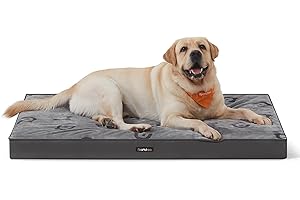 Feandrea Legowisko dla psów, pianka o strukturze plastra miodu, z uchwytem, zdejmowane pokrycie, nadające się do użytku obustronnego, wodoodporne, rozmiar XXL, 120 x 74 x 10 cm, gołębi szary PGW244G01