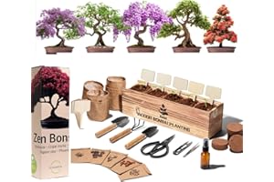 GÉNÉRIQUE Kit Bonsai Complet démarrage - Décoration Bois intérieure - 5 Plantes Naturelles - Graines Japonaises - Outils & Ciseaux - Cadeau Femme & Homme - Coffret Originale mère - Jardinage débutant
