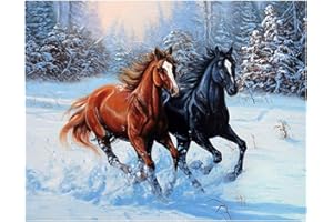 DCIDBEI 40x 50CM DIY 5D Pintura de Diamantes de Caballos,Diamond Painting Cuadrados,Cuadro Diamante 5D Animales,Bordado Rhinestone Arte de Pared Lienzo Artesanía para la Decoración