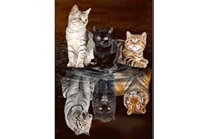 MEIYUDA Kits de arte de pintura de diamantes 5D para adultos, gatos, reflexiones de tigre, kit de pintura para principiantes, arte de cristal, taladro redondo completo
