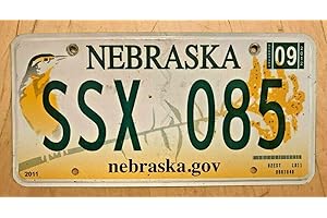 Inga 2012 Colorful Graphic Bird Nebraska Auto Matrícula SSX 085" Ne 12 Matrícula de 6 x 12 Pulgadas