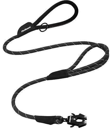 Bungee-Hundeleine 1,8–2,3 M – Stoßdämpfend, Reflektierend Mit 2 Griffen Für Große Hunde, Neopren-Polsterung