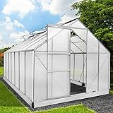 BRAST Gewächshaus Aluminium mit Fundament rostfrei 430x250x205cm Silber 6mm Platten 37 Modelle Alu Treibhaus Glashaus Tomaten