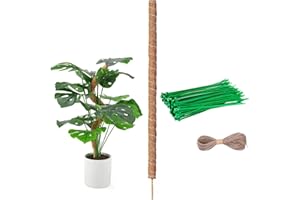 SUKEVITOR Moosstab für Monstera, 80cm Monstera Rankhilfe, Biegsame Moosstab für Monstera mit Zubehör, Stab für Kletterpflanzen Natürlicher Pflanzenstütze