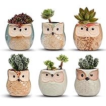 6 Sottobicchieri Rotondi In Bambù, Diametro 10 Cm. Perfetti Come Sottovasi, Portacandele O Per Decorazioni. Set Versatile Per Casa E Feste.