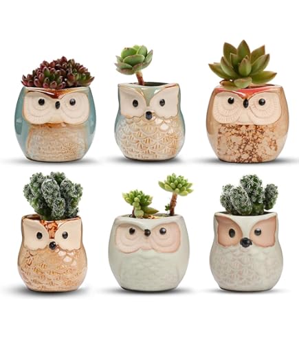 NICETOW Vasi Per Fiori In Cemento Per Fioriera Per Il Viso - Foto 3