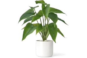 Mkono Fake Plants in Ceramic Pot, 11" Potted Artificial Plants for Home Decor Indoor Faux Green Leaf Plant with Modern White Planter for Desk Shelf Office Room Decoration (Pothos)