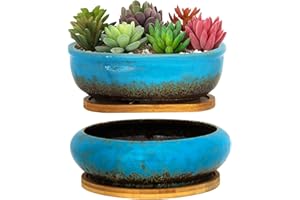ARTKETTY Doniczki na sukulenty, ceramiczne doniczki na sukulenty z drenażową tacą bambusową, 1 prostokątna doniczka + 1 okrągła doniczka do użytku wewnątrz kaktusów bonsai roślin domowych (niebieska)