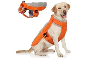 Hjumarayan Giubbotto Refrigerante Cane, Confortevole Cappottino Refrigerante per Cani Gilet Rinfrescante Cane Traspirante Giubbotto Cane con Pettorina adatto alle calde giornate estive, Arancione XL