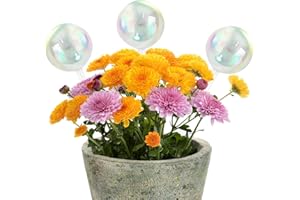 Automatic Plant Watering Bulbs Set,Ompinda Set of 3 Rainbow Gradient Glass Self Watering Globes Insert Plant Devices for Indoor/Outdoor Plants (Round)