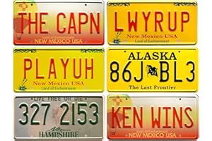 OPO 10 - Lote de 6 réplicas de matrículas de los Coches de la Serie de TV Breaking Bad - PF19