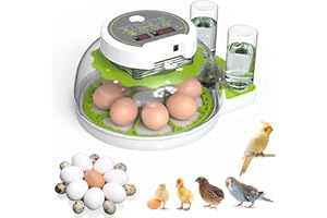 CISSIYOG Egg Incubator, Egg Incubators with Automatic Turning and Humidity Control, 360° Viewing Window, Integrated Egg Candler, for Hatching Chicken Quail Duck Bird Eggs - 18/36 Eggs (8)