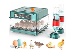 QAWNER Couveuse Oeuf Automatique, Incubateur Automatique 15-36 Oeufs, avec Système de Retournement Automatique et Contrôle de la Température, pour Éclosion d'Œufs de Poule Canard Caille (10 Oeuf) (24 Oeuf)
