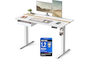VASAGLE Bureau Électrique Réglable en Hauteur, Bureau Assis-Debout, Surface 60 x 120 cm, Réglable en Continu, Fonction Mémoire de 4 Hauteurs, Blanc LSD112W01