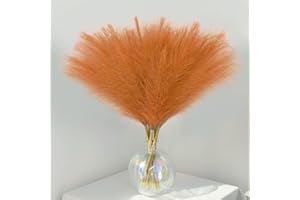 VMINOG Pampas Decorative 30 Pezzi Piume Decorative,Fiori Secchi Decorativi,55 Cm Bouquet Fiori Secchi,Arredamento Boho Pampas Decorative Alte,Per Matrimoni, Feste,Home Decor(Arancia)