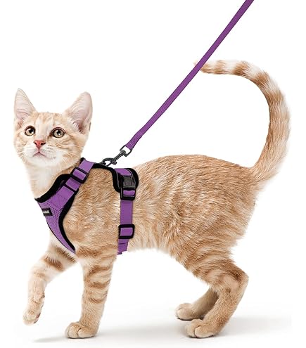 Guinzaglio Retrattile Resistente Per Cani Impugnatura Antiscivolo Lunghezza 3mt S1 405521070130 Guinzaglio Retrattile Resistente Per Cani Impugnatura Antiscivolo Lunghezza 3mt S1 405521070130
