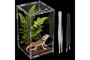 12 × 12 × 20 cm reptiler terrarium akryl, 360° transparent hoppspindel, terrarium, miniterrarium, faunarium, terrarier för re