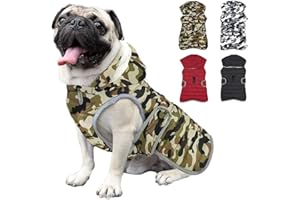 Etechydra Manteau Chien Veste Gilet Chaud de avec Chapeau Détachable, Confortable d'hiver Imperméable Vêtement Chien Doublure en Polaire Chaude Hiver-Coat Manteaux, Vert XS.
