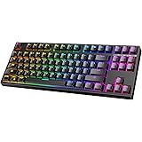 TKL Mechanical Keyboard, HIWINGS Blue Switch Gaming Keyboard with Customisable 18 RGB Rainbow Lights 100% Anti-Ghosting USB W