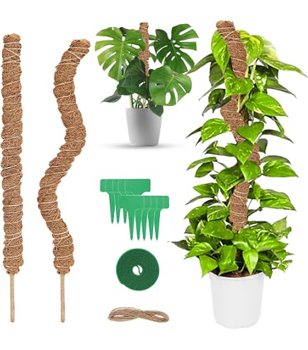 Traliccio in metallo per piante rampicanti da interni, confezione da 2 pezzi, 30,5 cm, a forma di foglia, mini traliccio da giardino in vaso