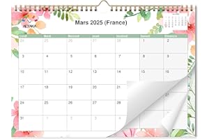 AEYAKA Calendrier 2024-2025 Calendrier Mural, 30 cm x 43 cm Français, 16 Mois Novembre 2024 à Décembre 2025 Aperçu des Vacances, B