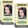 INDUS VALLEY 100% Certified Organic Hair Colour (Soft Black) - (120g*2=240g)