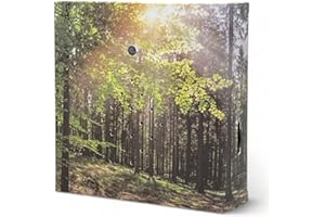 MIJOMA Soundbox z śpiewem ptaków i leśną scenerią – kojący relaks w Twoim domu | głośnik, czujnik ruchu i przełącznik wł./wył. | idealny do łazienki, korytarza, biura i salonu | 12 x 12 cm (las)