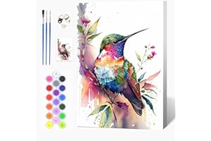 Auremi Kit Colibri peinture par numéros avec cadre bois–Animaux Peinture par numéros 20x30 cm pour adulte débutant–Idée cadeau originale relaxante–Activité manuelle créative et décorative