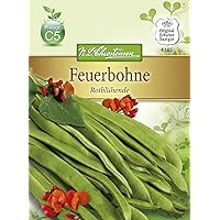 N.L. Chrestensen 4385 Feuerbohne Rotblühende (Feuerbohnensamen)