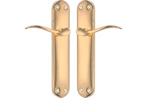 Micel - 07971 - Set di maniglia per porta con piastra in acciaio e maniglia in alluminio, finitura ottonata, colore: oro, 240 x 123 x 50 mm