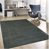 Raschel Carpet Dark Gray Micro Polyester Anti-Slip Base Shaggy Carpet, 160 x 230